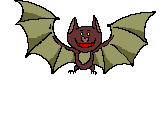 Bat Viruses